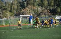 ΤΡΑΧΩΝΕΣ - ΦΩΣΤΗΡΑΣ